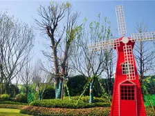 恒大城市天地 2室1厅 南