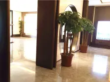 南北通透 全新未入住过,奶油风装修