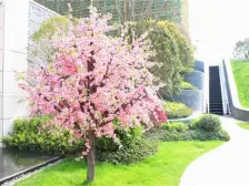 金佳云舒花城 通透三房 看房方便 诚售