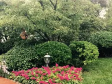 联排别墅 中间户 随时看房 价格可议