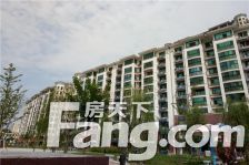 置城八号公馆 4室2厅 南