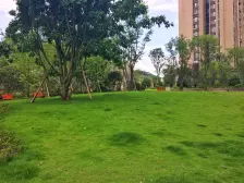 照母山 象屿两江公元三房150万