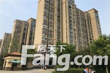 金鹰国际精装四房 诚意出随时看房