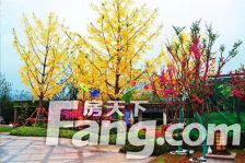 恒大御峰3-2-1-1 134.00m2