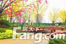 恒大御峰洋房 精装修 总价低 看中价格可谈