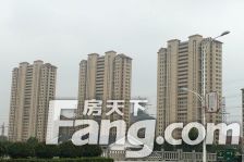 易居公馆 您从未想象过的大院子