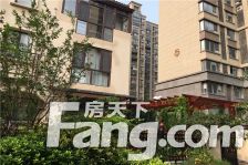 房东换房急售金鹰国际三室精装住房