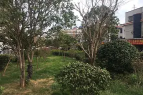 Ͻʵͼ