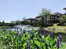 大淀湖旁200米,三开间朝南户型方正,纯别墅区