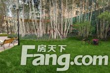 梧桐郡小区 两室明厅 南北通透