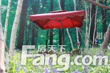 哈东梧桐郡两室一厅高层中间楼层