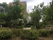 滴水湖馨苑二期 4室2厅 南 北