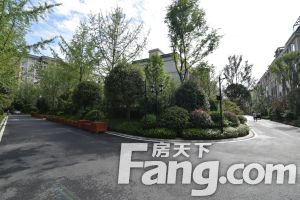 两河院子 5室2厅 东南