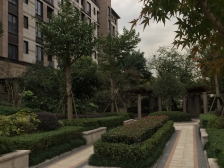 品质大宅,底复带大花园,方正户型,采光佳