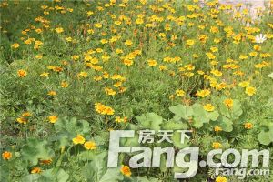 万盛佳园 1室1厅 南 北