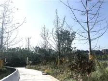 鹿角 协信星麓原悦郡三房75万