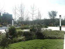 奥特莱斯旁次新正三房双卫,高楼层视野开阔