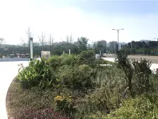 奥特莱斯旁清水三房业主诚心出售