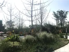 洋墅做了简单基装,一共四层,带花园带两个产权车位