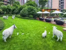 南滨路精装三房 看小区中庭住家舒适