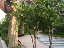 此房业主诚心出售,视野开阔,每个房间都有采光