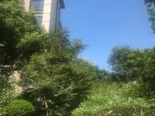 虹桥天花板,自住房,沿河横厅大阳台,等你来品鉴。