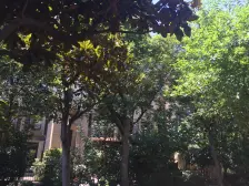 龙湖滟澜山一期 4室2厅 西南