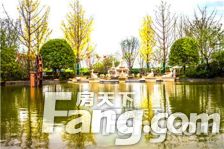 楼间距大,好楼层 采光好 空间布局合理