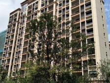 80万精装修拎包入住 全明飞机户型 带地下室、大花园