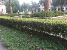 观音桥 保利山庄江天悦三房200万