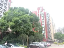 2019年次新房万科幸福城南向二房 户型方正 安静不吵