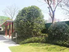 新力品质,地铁口 三房两厅,楼下阁皂山学校 房东急售