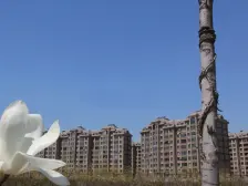 颐和五号 一室一厅 精装修 可拎包入住