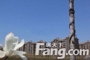 自住住房,诚心卖,户型好,装修保持干净整洁