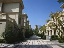 急售绿地B区别墅,带花园车库,采光充足