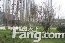 金雀新城 证过二 楼层好 视野宽阔 采光充足 交通便利