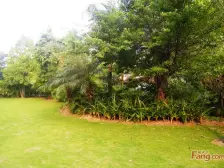 丰泰凌峰业主自住急售房源,装修好,朝向景观好