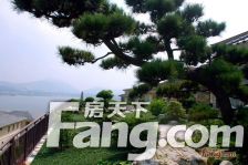 丰泰观山碧水凌峰 3室2厅 南 北