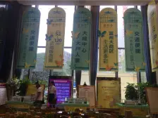 联芳桥 富州新城D街区三房