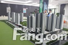 金雀新城B区3室2厅南北