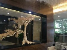 中铁春风十里 大连旅顺老虎尾中铁春风十里别墅