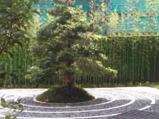 南向 望花园 中层 格局方正 交通方便