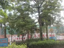 松湖豪庭 2室2厅 东北