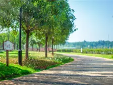 下叠式洋房 前后带院子 毛坯自由装修 4房3卫双主卧