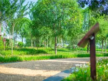 中医院 妇幼保健院 临公园 中建亮月湖 清水毛坯 四房