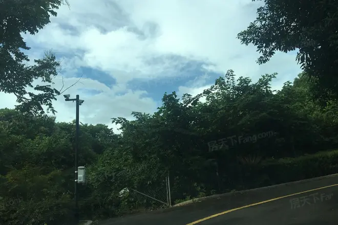 天海竹深明月
