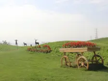 花园别墅 南北通透 带有负一层 可四世同堂阖家欢乐