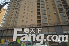 天安花园 联排别墅 边套 大花园