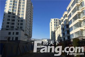 黄金海岸东区 非顶楼 价格能谈 精装修 满五可按揭