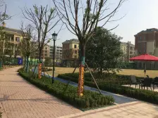 业主急售,海边洋房,户型方正,低密度小区